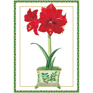 Caspari Amaryllis In Holly Pot Boxed Christmas Cards 103104