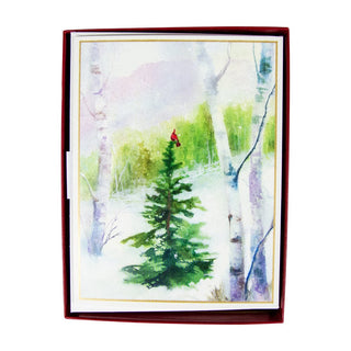 Caspari Cardinal In Woodland Boxed Christmas Cards - 15 Christmas Cards & 15 Envelopes 103217