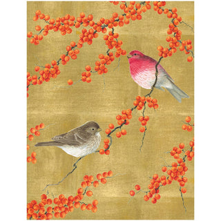 Caspari Birds And Berry Branches C-Sized Christmas Cards Pack in Cello - 5 Cards & 5 Envelopes 103219.98