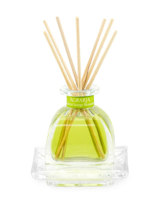 Agraria Agraria Petite Essence Diffuser in Lime & Orange - 1 Each 815163017204