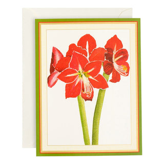 Caspari Red Amaryllis Large Boxed Christmas Cards - 15 Christmas Cards & 15 Envelopes 85318