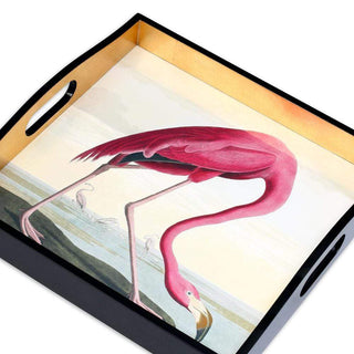 Caspari Audubon Birds Flamingo Lacquer Square Tray - 1 Each 13120LQSQR