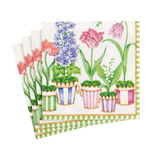 Caspari Window Garden Boxed Paper Cocktail Napkins - 40 Per Box 16370B