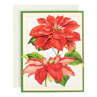 Caspari Red Amaryllis Large Boxed Christmas Cards - 16 Cards & 16 Envelopes 86316